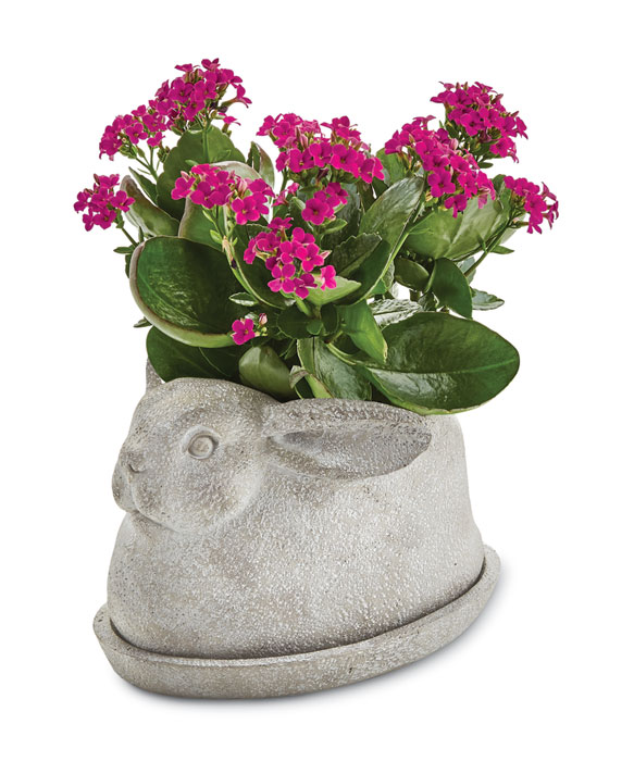 9638: Bunny Planter with Saucer (Product Detail)