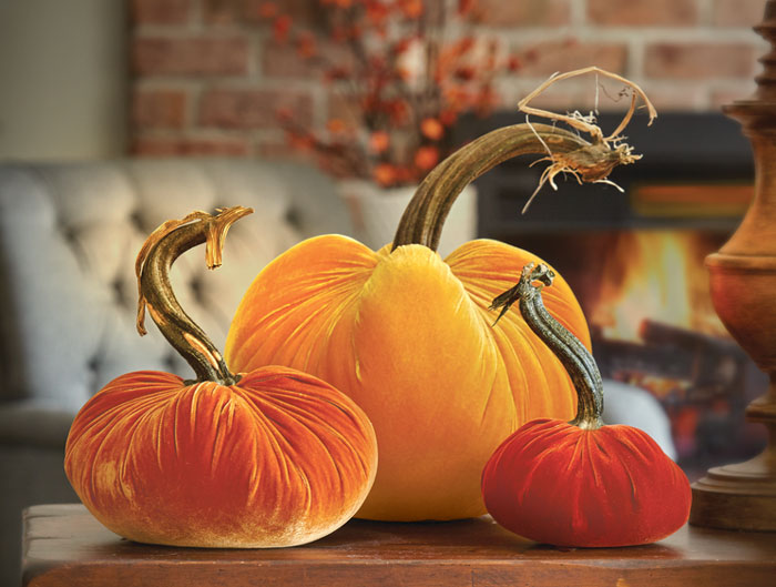 2015: Velvet Pumpkins (Apricot) - Small (Product Detail)