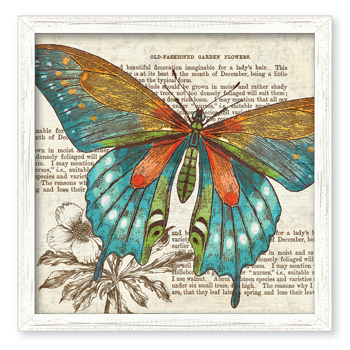 6177: Butterfly Wall Art I (Product Detail)