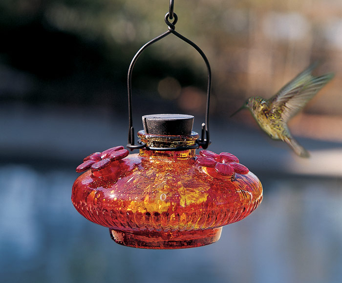 2096: Hummingbird Feeder - Bowl (Product Detail)