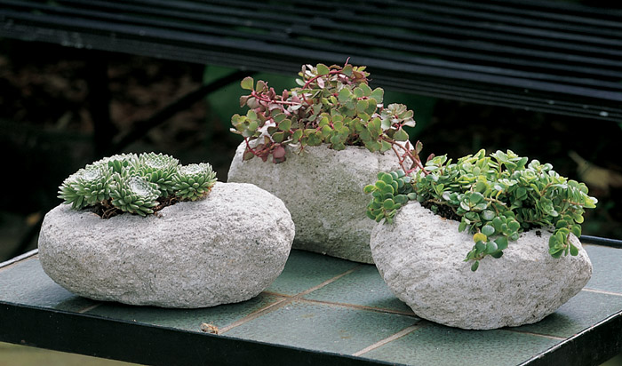 2399: Volcanic Rock Planters (Set of Three) (Product Detail)