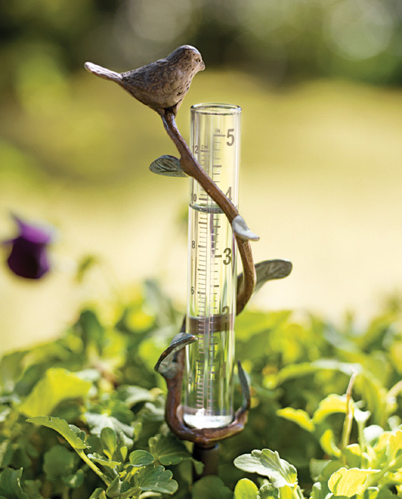 2825: Bird Rain Gauge (Product Detail)