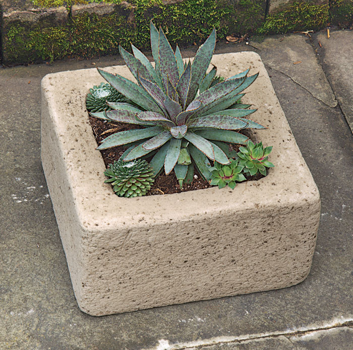 4699: Succulent Planter - Square (Product Detail)