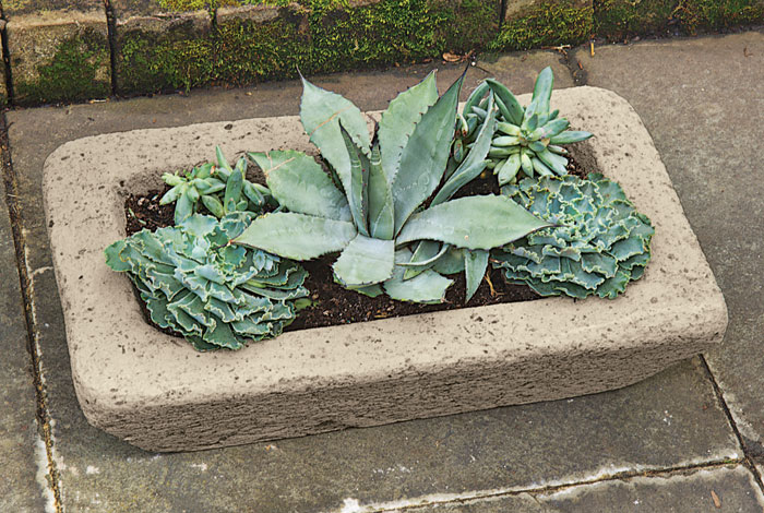 4700: Succulent Planter - Rectangular (Product Detail)