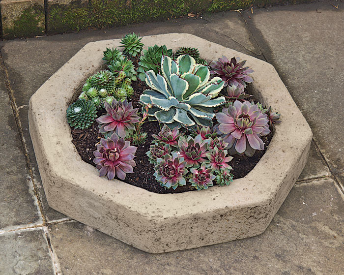 4701: Succulent Planter - Octagonal (22"DIA.) (Product Detail)