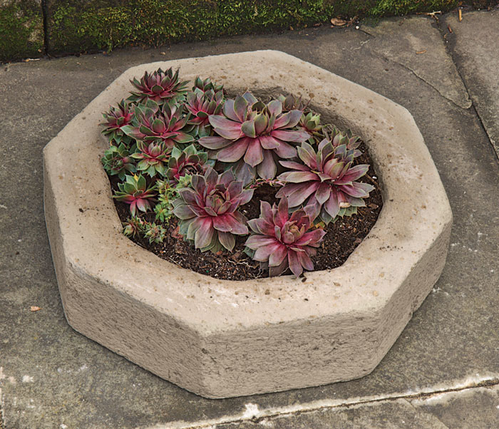 4702: Succulent Planter - Octagonal (17"DIA.) (Product Detail)