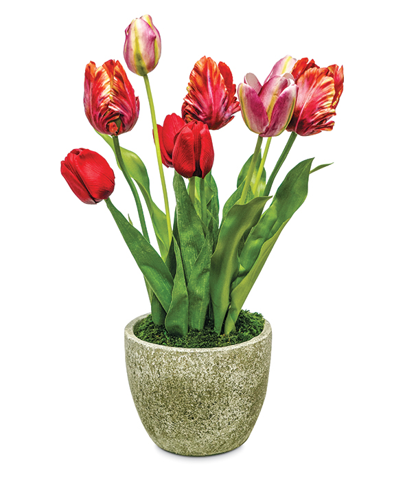 5084: Tulips in a Pot (Product Detail)