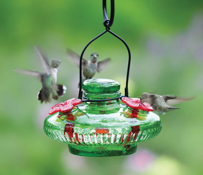 6485: Emerald Hummingbird Feeder (Product Detail)