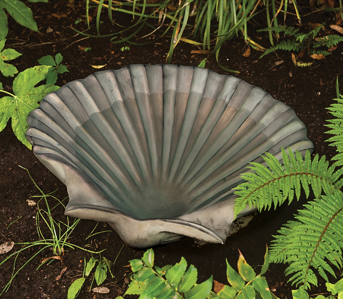 6264: Scallop Shell Birdbath (Product Detail)